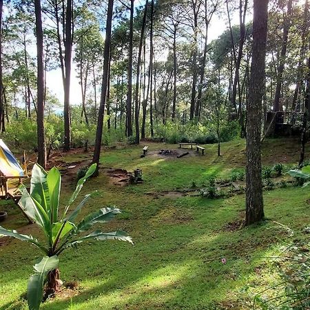 Cabana Rustica A 1Km De Cascada Mazamitla Luaran gambar