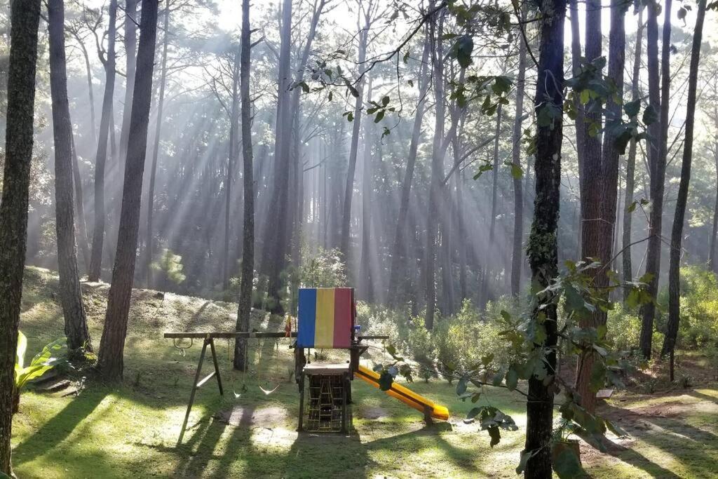 Cabana Rustica A 1Km De Cascada Mazamitla Luaran gambar